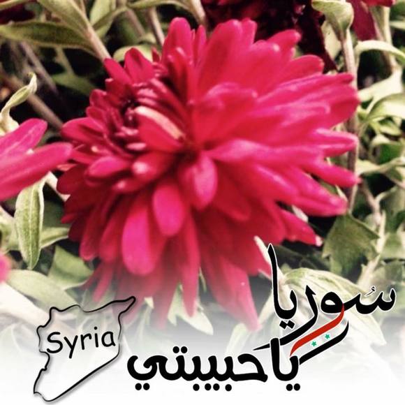 Meet your Posher, Muna - Picture 1 of 1